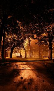 Preview wallpaper park, night, lighting, trees, path, leaves