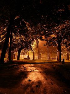 Preview wallpaper park, night, lighting, trees, path, leaves