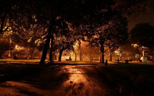 Preview wallpaper park, night, lighting, trees, path, leaves
