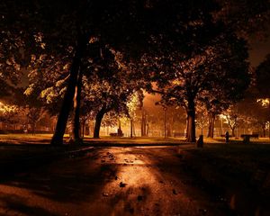 Preview wallpaper park, night, lighting, trees, path, leaves