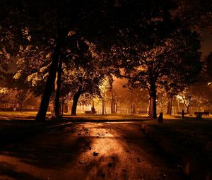 Preview wallpaper park, night, lighting, trees, path, leaves