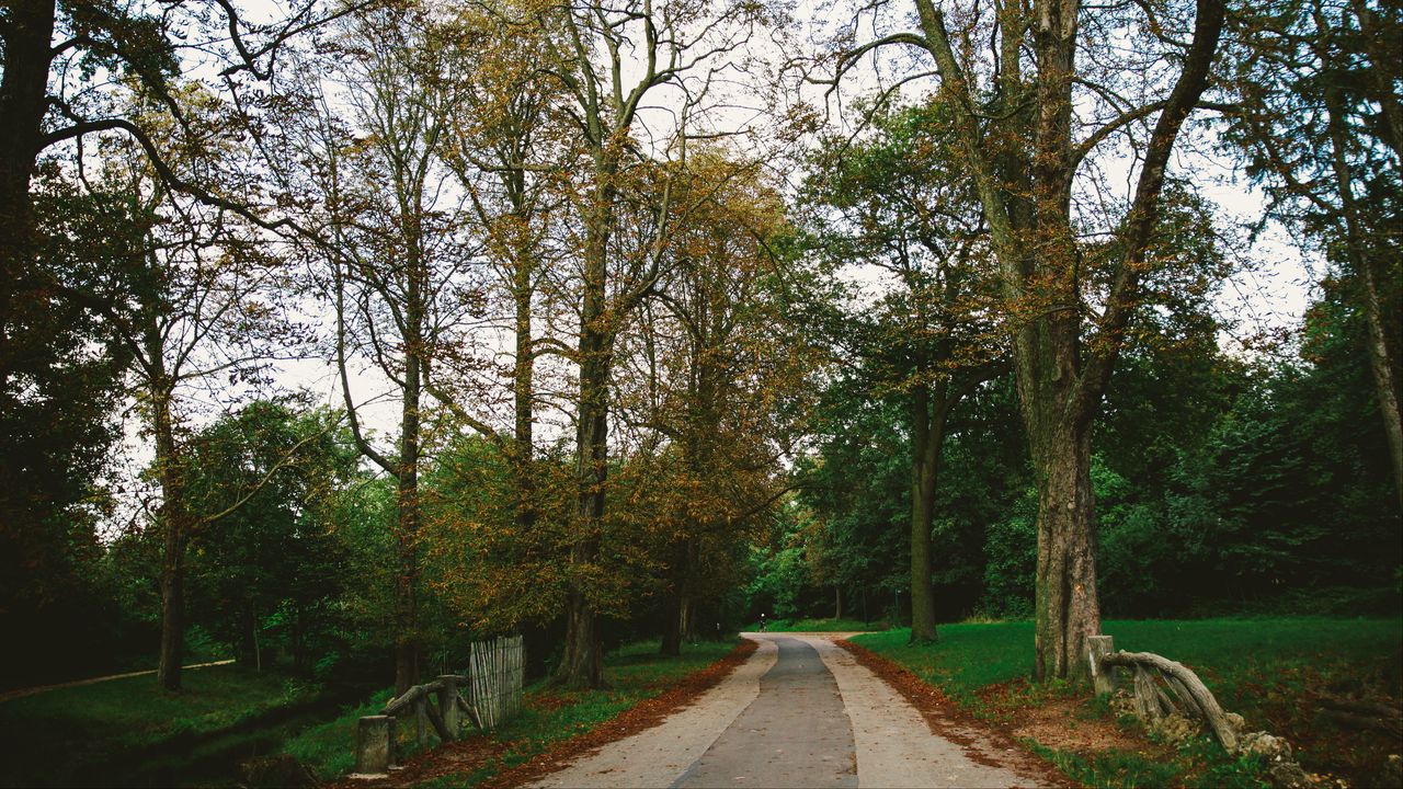 Wallpaper park, path, autumn, trees, paris