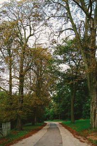 Preview wallpaper park, path, autumn, trees, paris