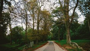 Preview wallpaper park, path, autumn, trees, paris