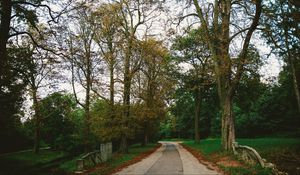 Preview wallpaper park, path, autumn, trees, paris