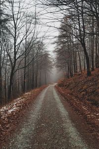 Preview wallpaper park, path, autumn, foliage, trees