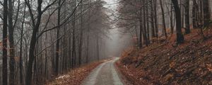 Preview wallpaper park, path, autumn, foliage, trees