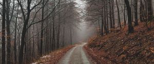 Preview wallpaper park, path, autumn, foliage, trees