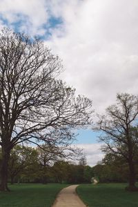 Preview wallpaper park, path, trees, garden