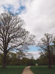 Preview wallpaper park, path, trees, garden
