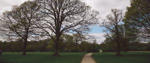 Preview wallpaper park, path, trees, garden