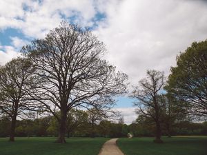 Preview wallpaper park, path, trees, garden