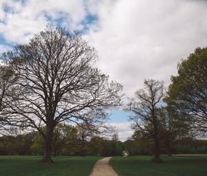 Preview wallpaper park, path, trees, garden