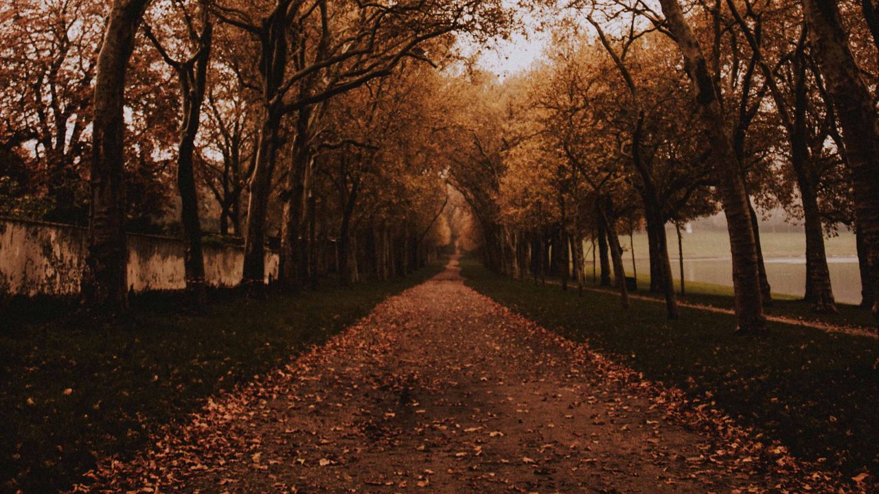 Wallpaper park, path, trees, alley, autumn