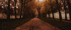 Preview wallpaper park, path, trees, alley, autumn