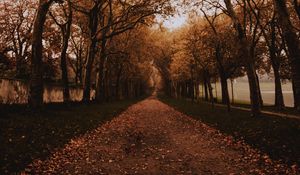 Preview wallpaper park, path, trees, alley, autumn