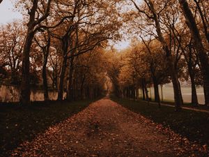 Preview wallpaper park, path, trees, alley, autumn