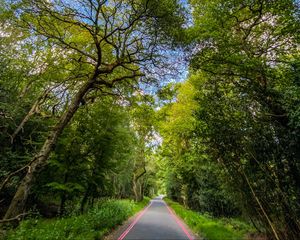 Preview wallpaper park, path, trees