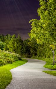 Preview wallpaper park, path, trees, light, twilight