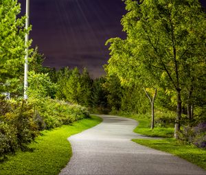 Preview wallpaper park, path, trees, light, twilight