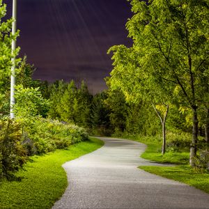 Preview wallpaper park, path, trees, light, twilight