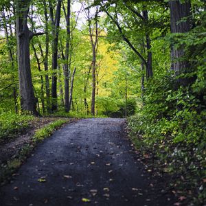 Preview wallpaper park, path, trees, nature