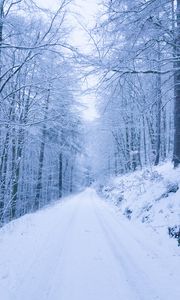 Preview wallpaper park, path, winter, snow, trees