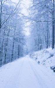 Preview wallpaper park, path, winter, snow, trees