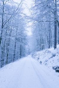 Preview wallpaper park, path, winter, snow, trees