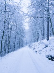 Preview wallpaper park, path, winter, snow, trees