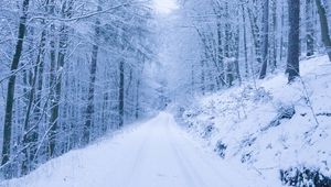 Preview wallpaper park, path, winter, snow, trees