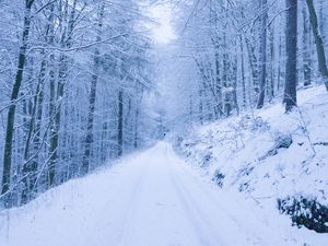 Preview wallpaper park, path, winter, snow, trees