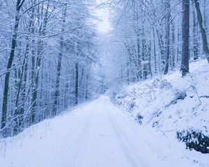 Preview wallpaper park, path, winter, snow, trees