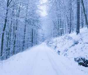 Preview wallpaper park, path, winter, snow, trees