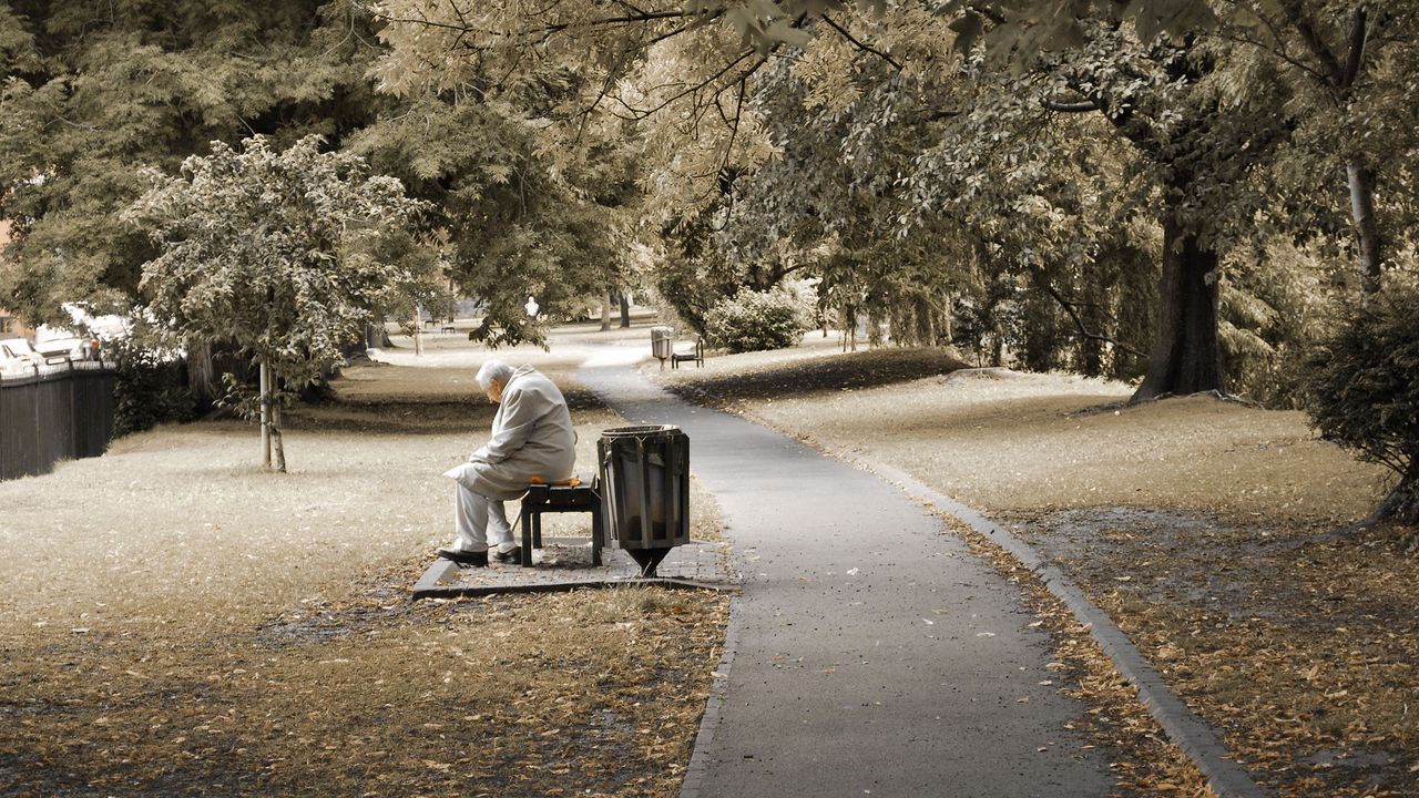Wallpaper park, people, old, bench, sit, trees, loneliness