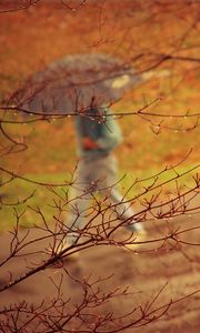 Preview wallpaper park, people, umbrella, rain, trees, branches, autumn