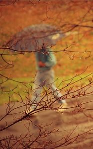 Preview wallpaper park, people, umbrella, rain, trees, branches, autumn