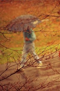 Preview wallpaper park, people, umbrella, rain, trees, branches, autumn