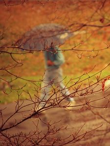 Preview wallpaper park, people, umbrella, rain, trees, branches, autumn