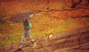 Preview wallpaper park, people, umbrella, rain, trees, branches, autumn