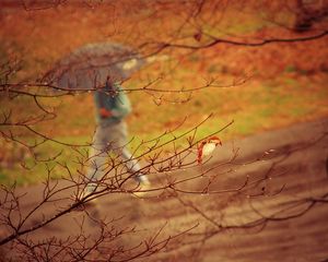 Preview wallpaper park, people, umbrella, rain, trees, branches, autumn