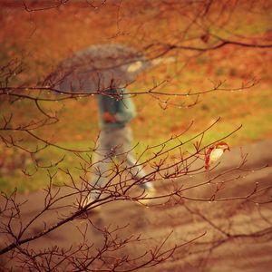 Preview wallpaper park, people, umbrella, rain, trees, branches, autumn