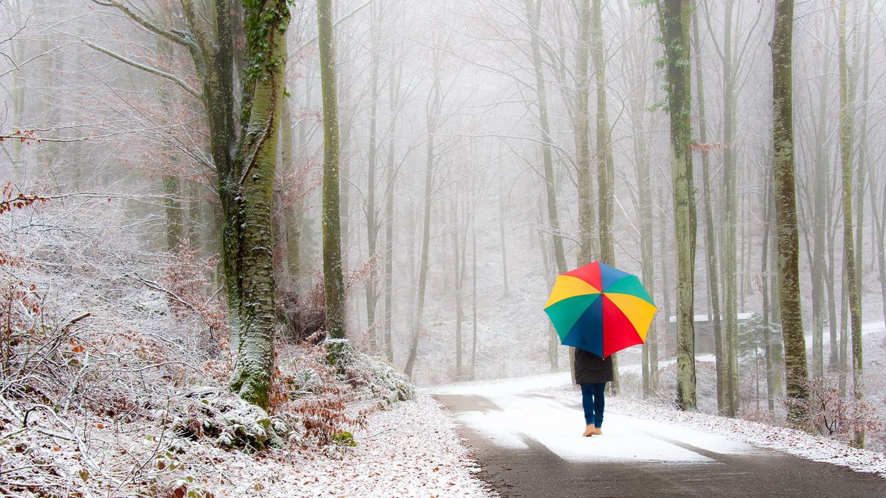Wallpaper park, person, umbrella, snow, road, fog, walk