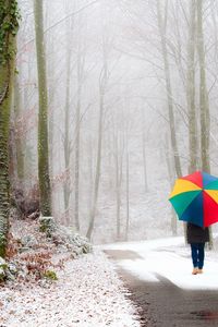 Preview wallpaper park, person, umbrella, snow, road, fog, walk