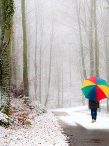 Preview wallpaper park, person, umbrella, snow, road, fog, walk