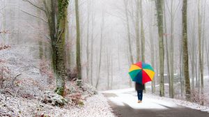 Preview wallpaper park, person, umbrella, snow, road, fog, walk