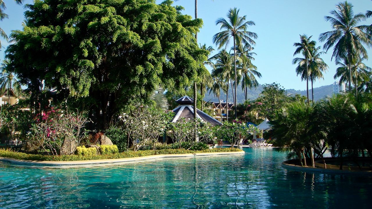 Wallpaper park, phuket, thailand, pool, palms