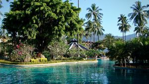 Preview wallpaper park, phuket, thailand, pool, palms