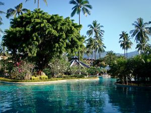 Preview wallpaper park, phuket, thailand, pool, palms