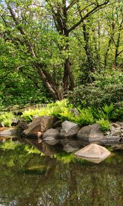 Preview wallpaper park, pond, trees, rocks, landscape